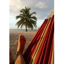 Hamac Barbados Acerola Amazonas toile de 230 x150 cm longueur 340 cm